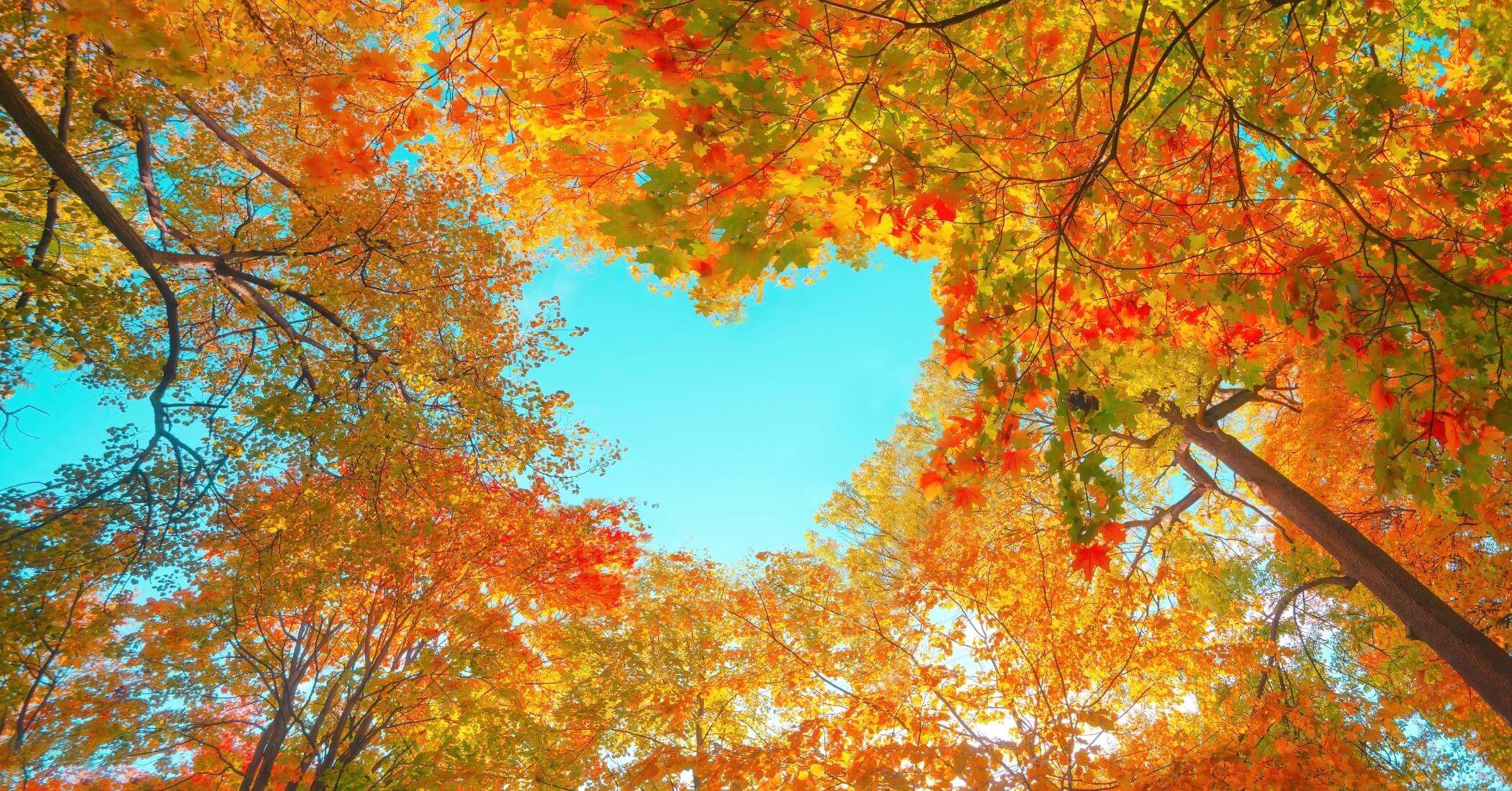 Charitable Giving with Whole Life Insurance